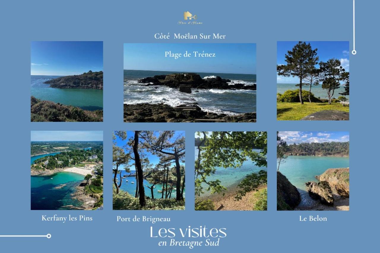 Le Tiguidou, Cosy, Lumineux, 2-6 Pers, Plage 300M Moëlan-sur-Mer Exteriör bild
