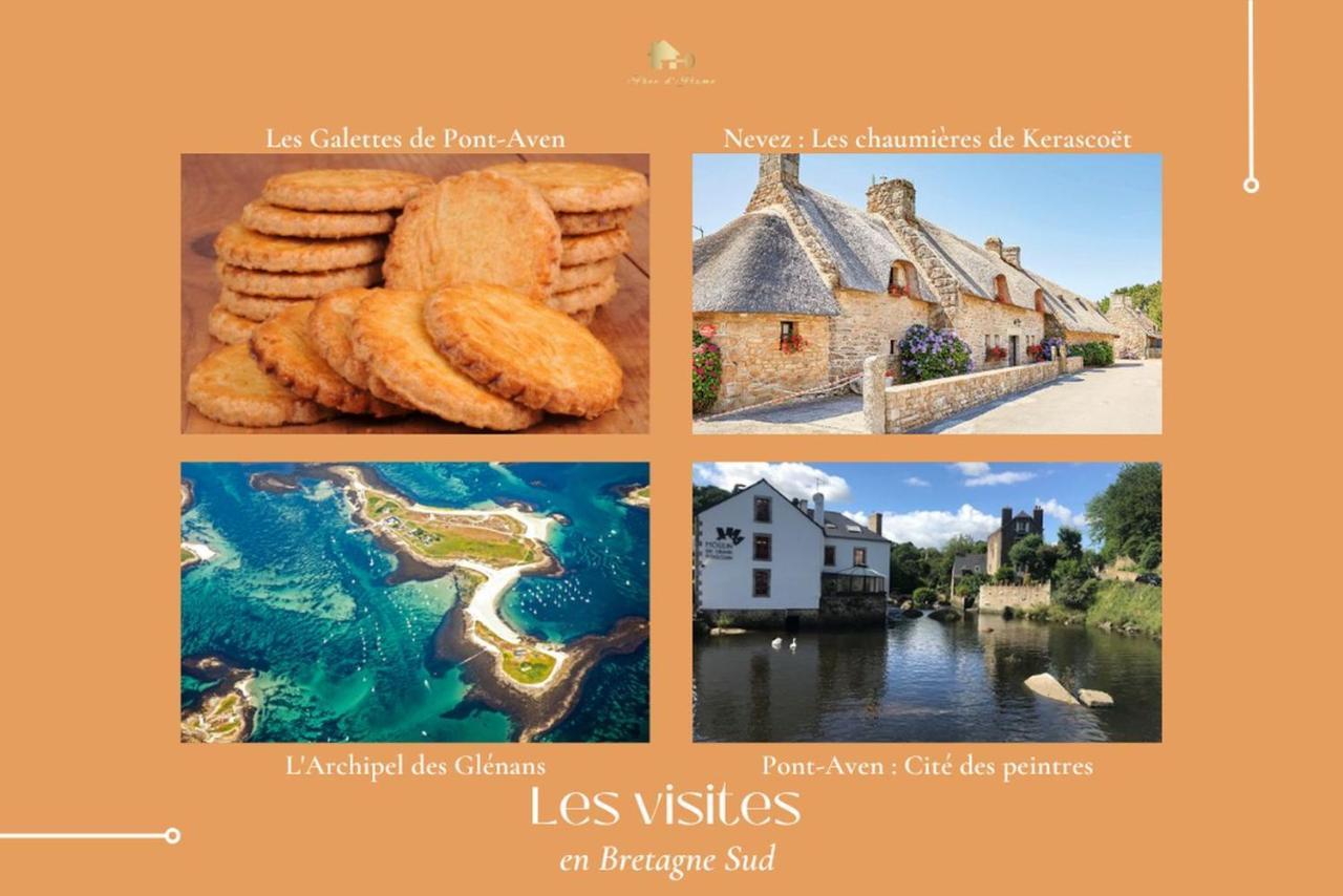 Le Tiguidou, Cosy, Lumineux, 2-6 Pers, Plage 300M Moëlan-sur-Mer Exteriör bild